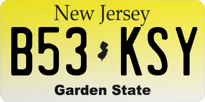 NJ license plate B53KSY