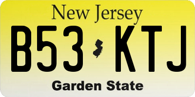 NJ license plate B53KTJ