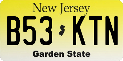 NJ license plate B53KTN