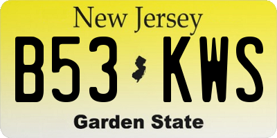 NJ license plate B53KWS