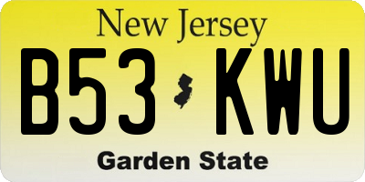 NJ license plate B53KWU