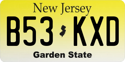 NJ license plate B53KXD