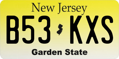 NJ license plate B53KXS