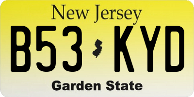 NJ license plate B53KYD