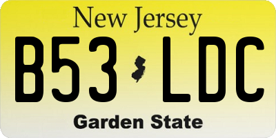 NJ license plate B53LDC