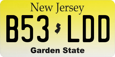 NJ license plate B53LDD