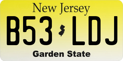 NJ license plate B53LDJ