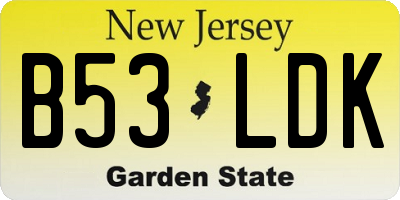 NJ license plate B53LDK