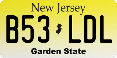 NJ license plate B53LDL