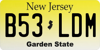 NJ license plate B53LDM