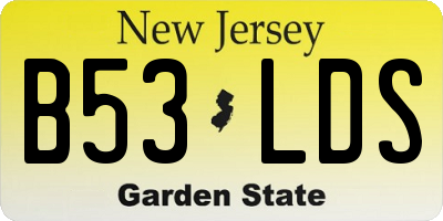 NJ license plate B53LDS