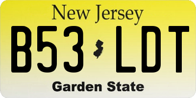 NJ license plate B53LDT