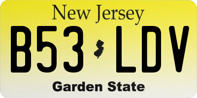 NJ license plate B53LDV