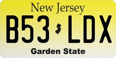 NJ license plate B53LDX