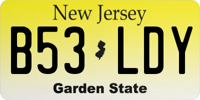 NJ license plate B53LDY
