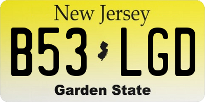 NJ license plate B53LGD
