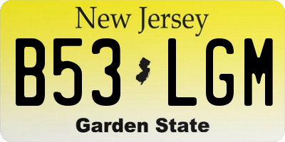 NJ license plate B53LGM
