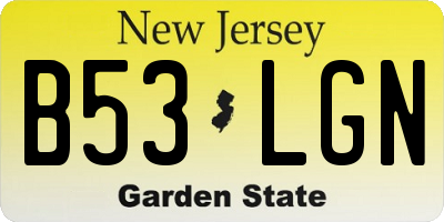 NJ license plate B53LGN