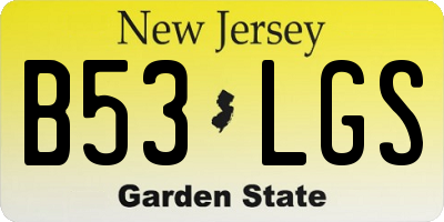 NJ license plate B53LGS