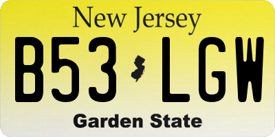 NJ license plate B53LGW