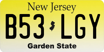 NJ license plate B53LGY