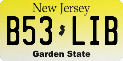 NJ license plate B53LIB