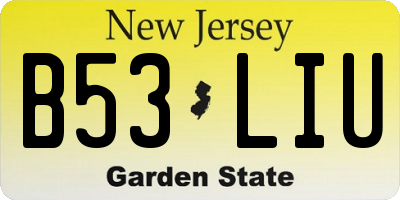 NJ license plate B53LIU