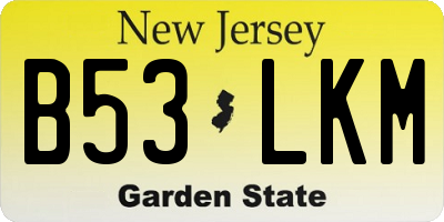 NJ license plate B53LKM
