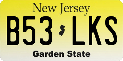 NJ license plate B53LKS