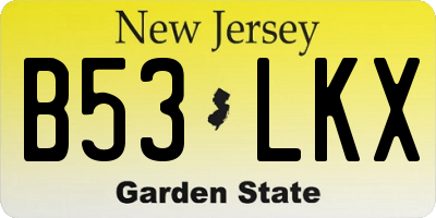 NJ license plate B53LKX