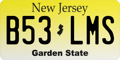 NJ license plate B53LMS
