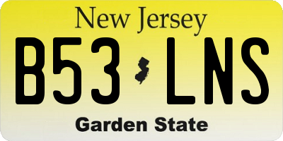 NJ license plate B53LNS