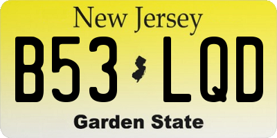 NJ license plate B53LQD
