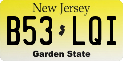 NJ license plate B53LQI