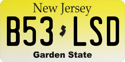 NJ license plate B53LSD