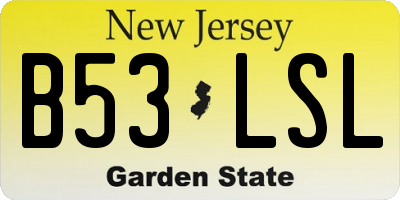 NJ license plate B53LSL