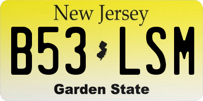 NJ license plate B53LSM