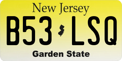 NJ license plate B53LSQ
