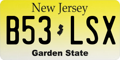 NJ license plate B53LSX