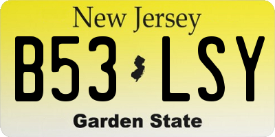 NJ license plate B53LSY