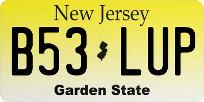 NJ license plate B53LUP