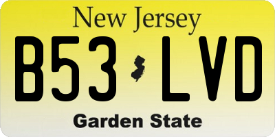 NJ license plate B53LVD