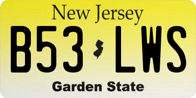 NJ license plate B53LWS