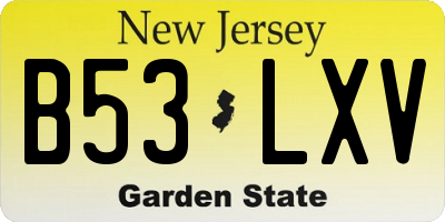 NJ license plate B53LXV