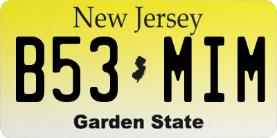 NJ license plate B53MIM