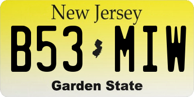 NJ license plate B53MIW