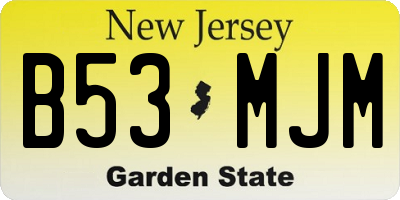 NJ license plate B53MJM