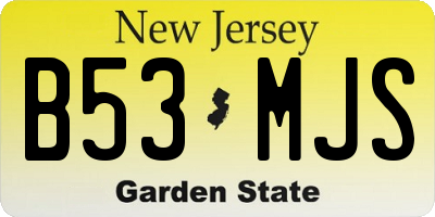 NJ license plate B53MJS