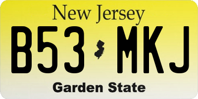 NJ license plate B53MKJ