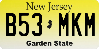 NJ license plate B53MKM